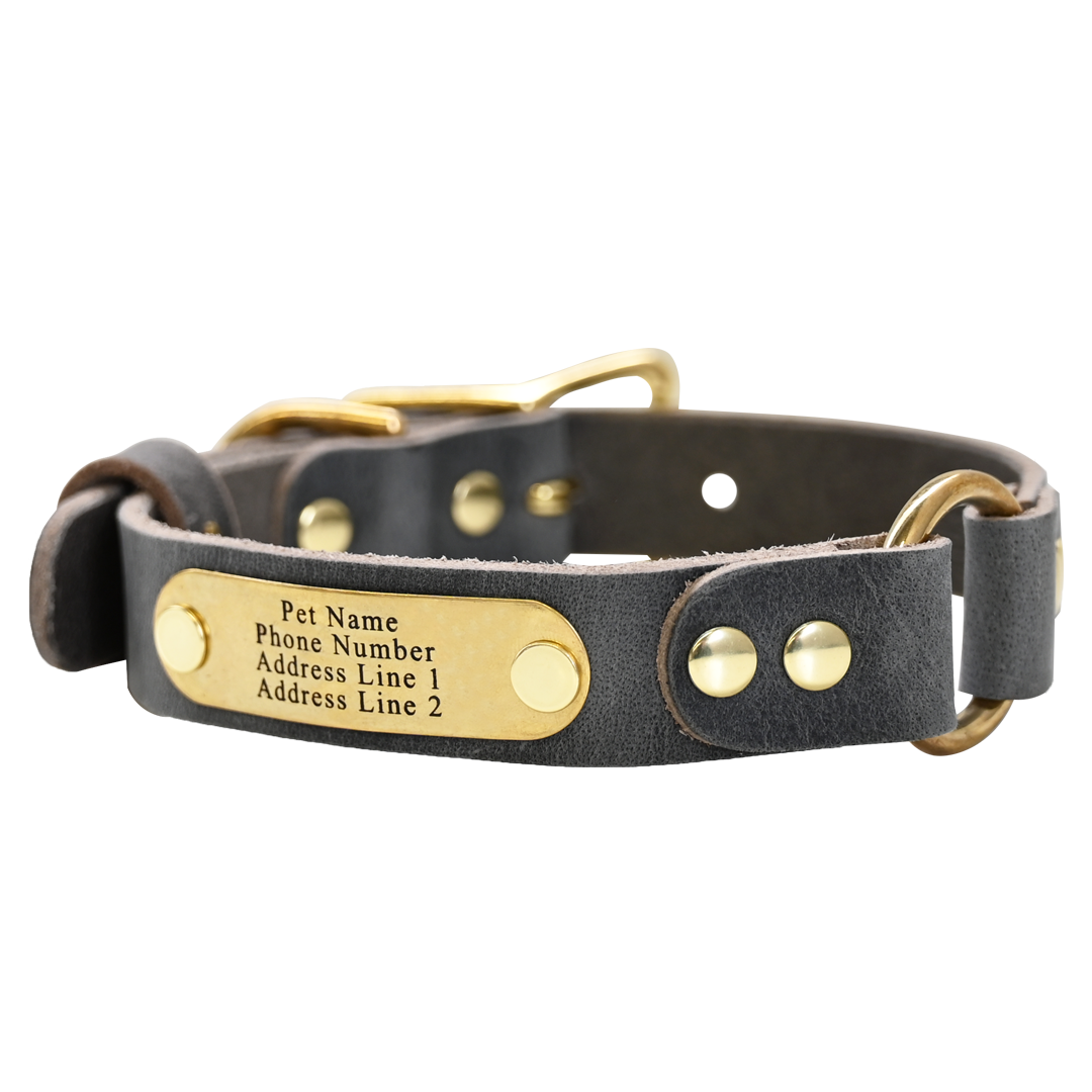 Personalized Hunting Dog Collar - Distressed Gray - Brass Plate