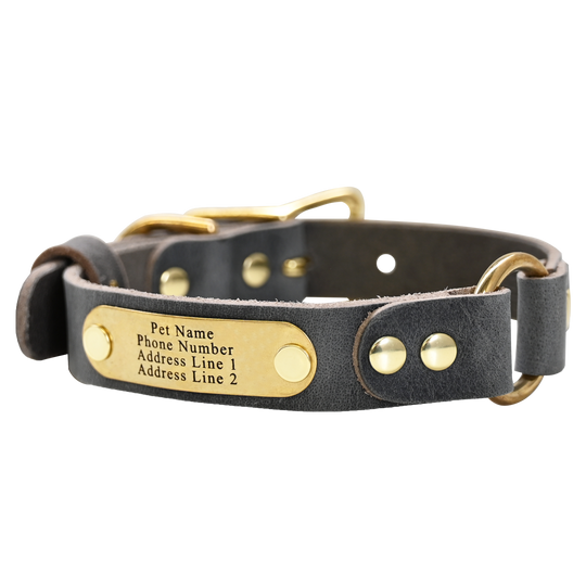 Personalized Hunting Dog Collar - Distressed Gray - Brass Plate