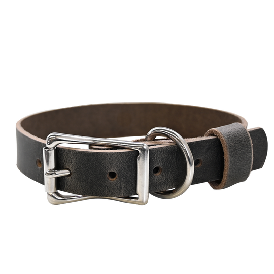 Standard Dog Collar - Distressed Gray - Nickel 