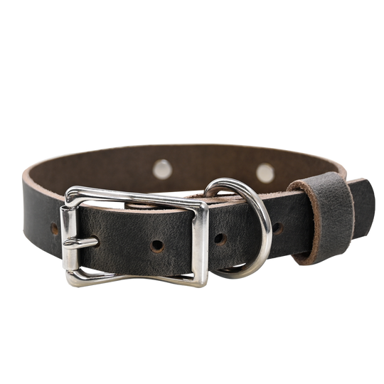 Distressed Gray Collar - Nickel Hardware