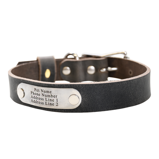 Distressed Gray Collar - Nickel Nameplate
