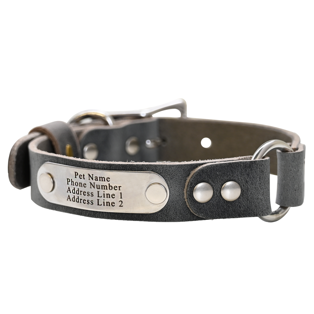 Personalized Hunting Dog Collar - Distressed Gray - Nickel Plate