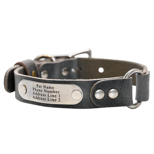 Personalized Hunting Dog Collar - Distressed Gray - Nickel Plate