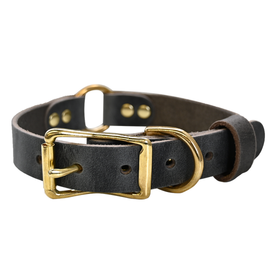 Hunting Dog Collar - Distressed Gray - Brass
