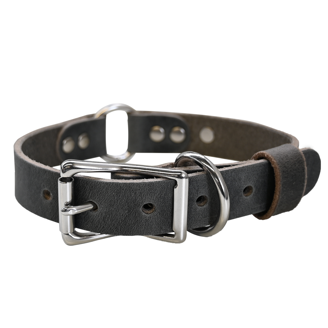 Personalized Hunting Dog Collar - Distressed Gray - Nickel Hardware