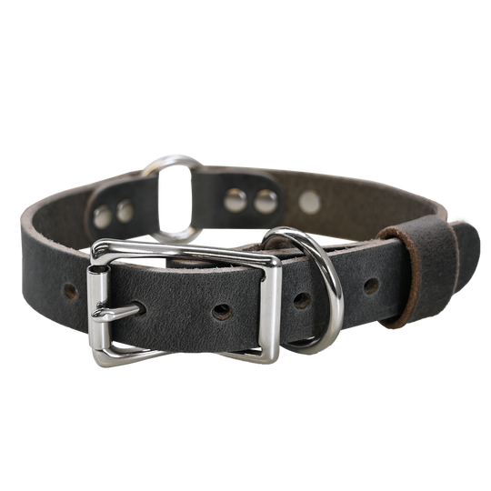 Personalized Hunting Dog Collar - Distressed Gray - Nickel Hardware