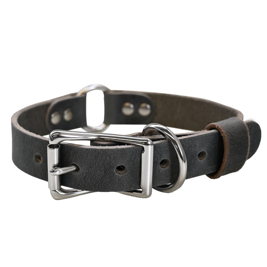 Hunting Dog Collar - Distressed Gray - Nickel