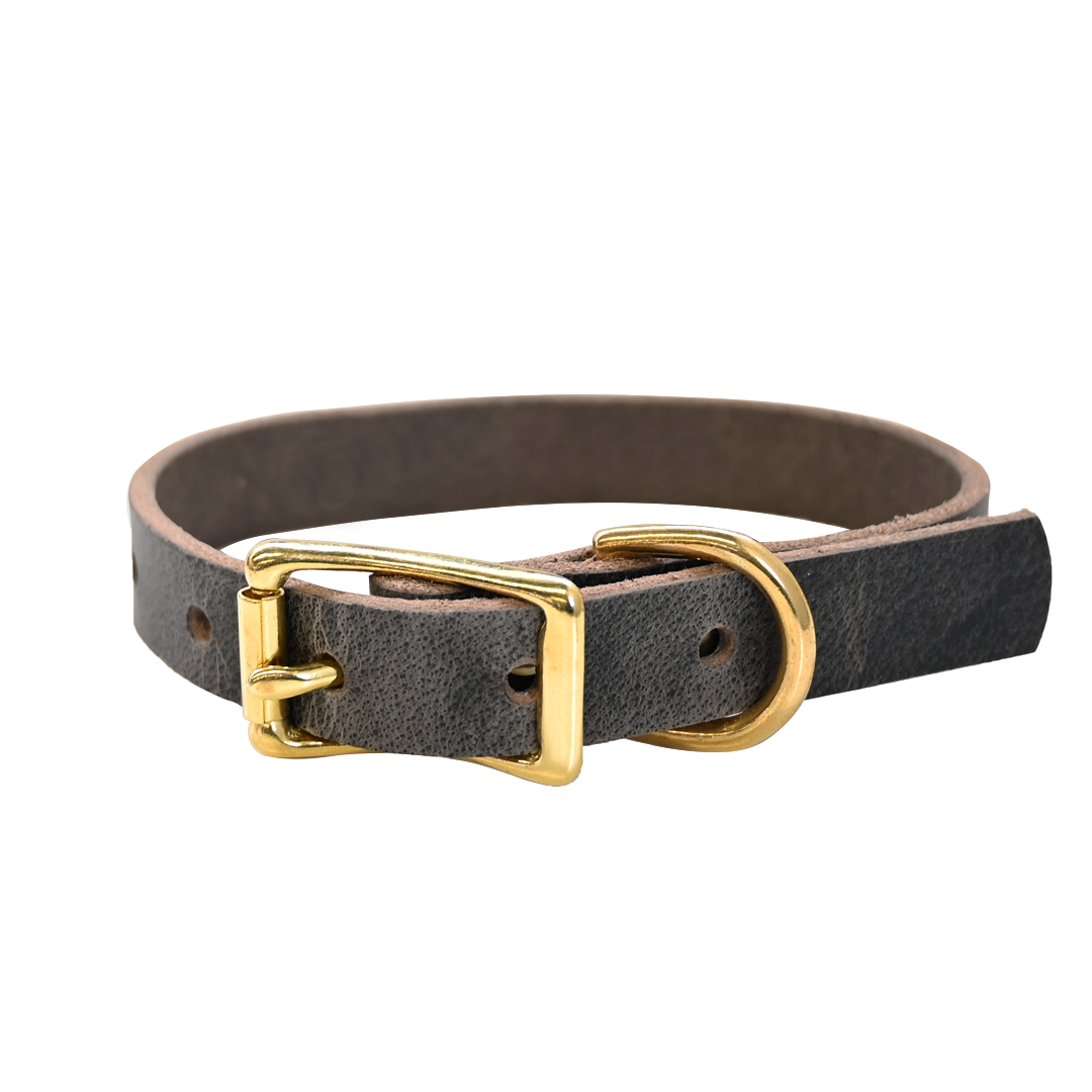 Small Breed Dog Collar - Distressed Gray - Brass