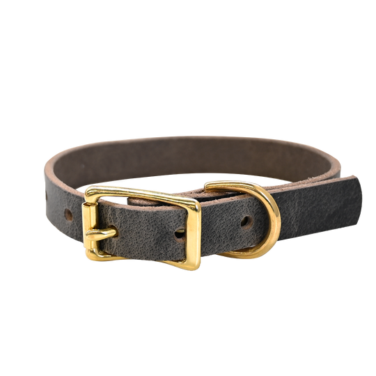 Small Breed Dog Collar - Distressed Gray - Brass