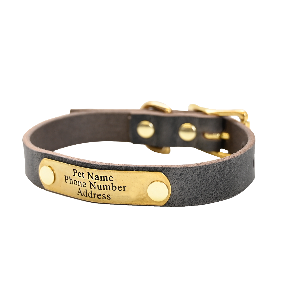 Small Breed Dog Collar - Distressed Gray - Brass Plate