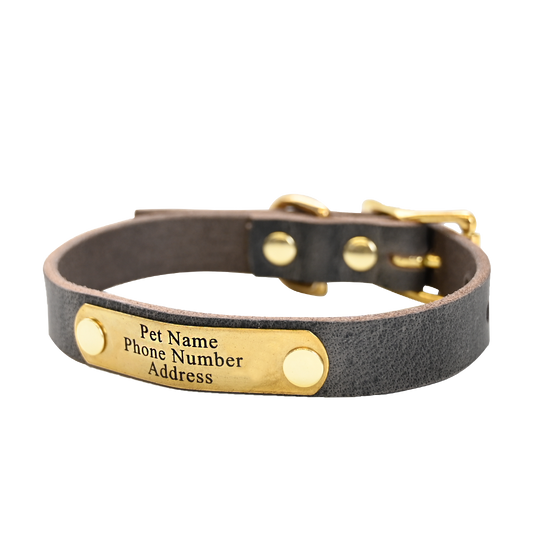 Small Breed Dog Collar - Distressed Gray - Brass Plate