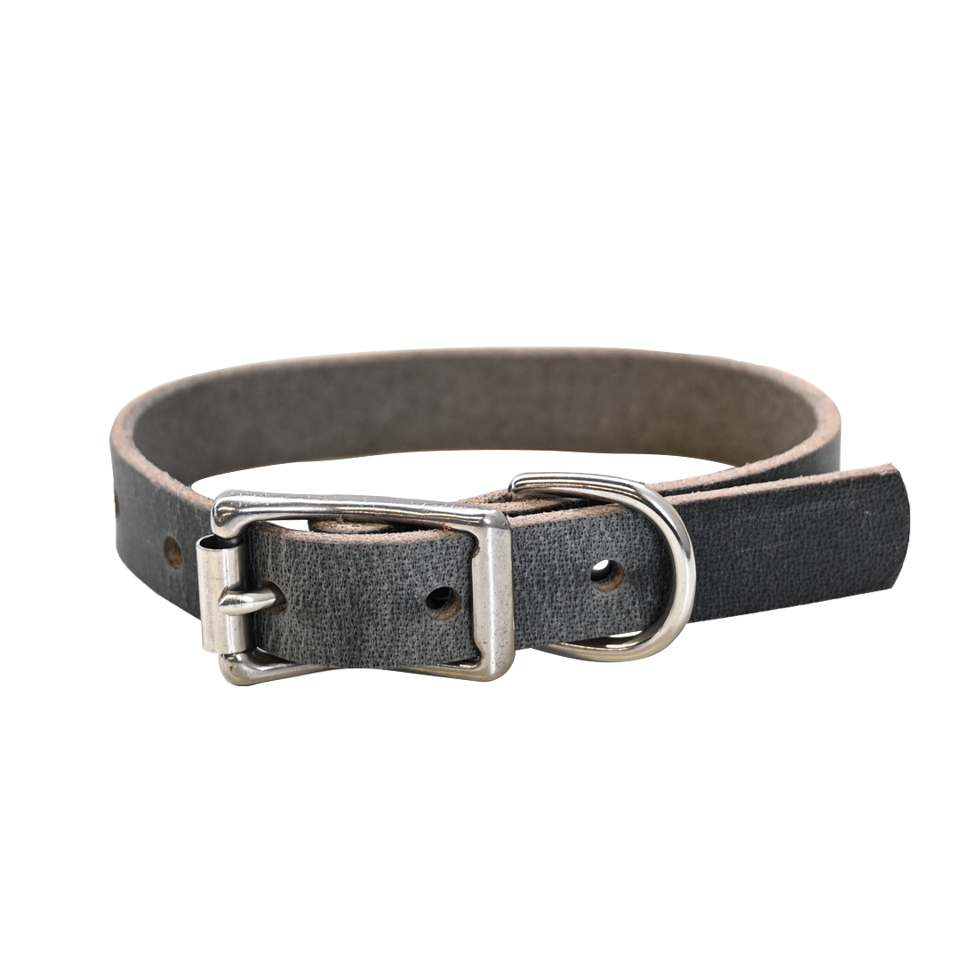 Small Breed Dog Collar - Distressed Gray - Nickel
