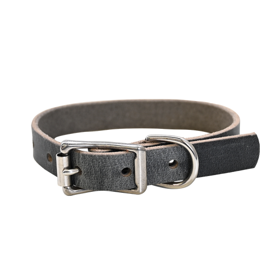Small Breed Dog Collar - Distressed Gray - Nickel