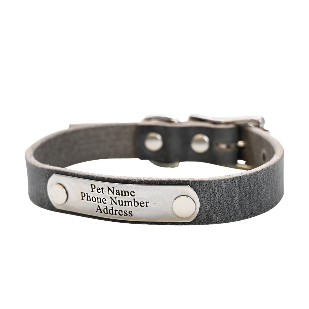 Small Breed Dog Collar - Distressed Gray - Nickel Plate
