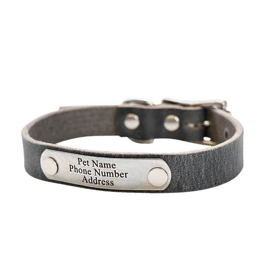 Small Breed Dog Collar - Distressed Gray - Nickel Plate