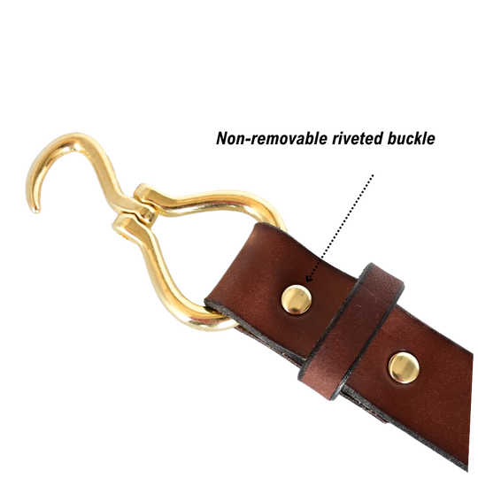 brown equestrian belt - brass buckle