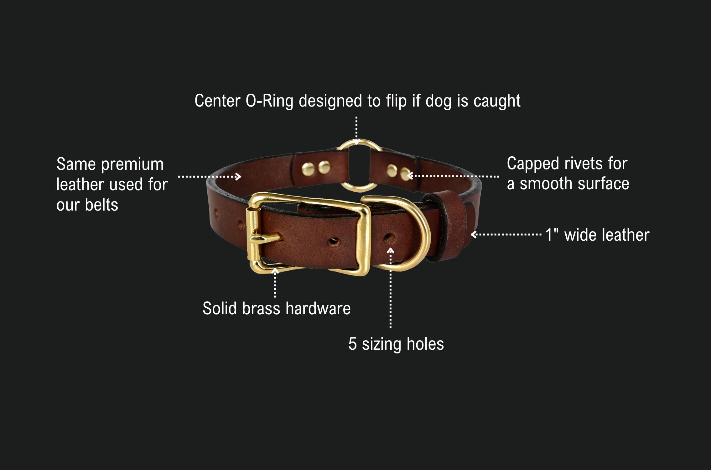 hunting dog collar spec sheets