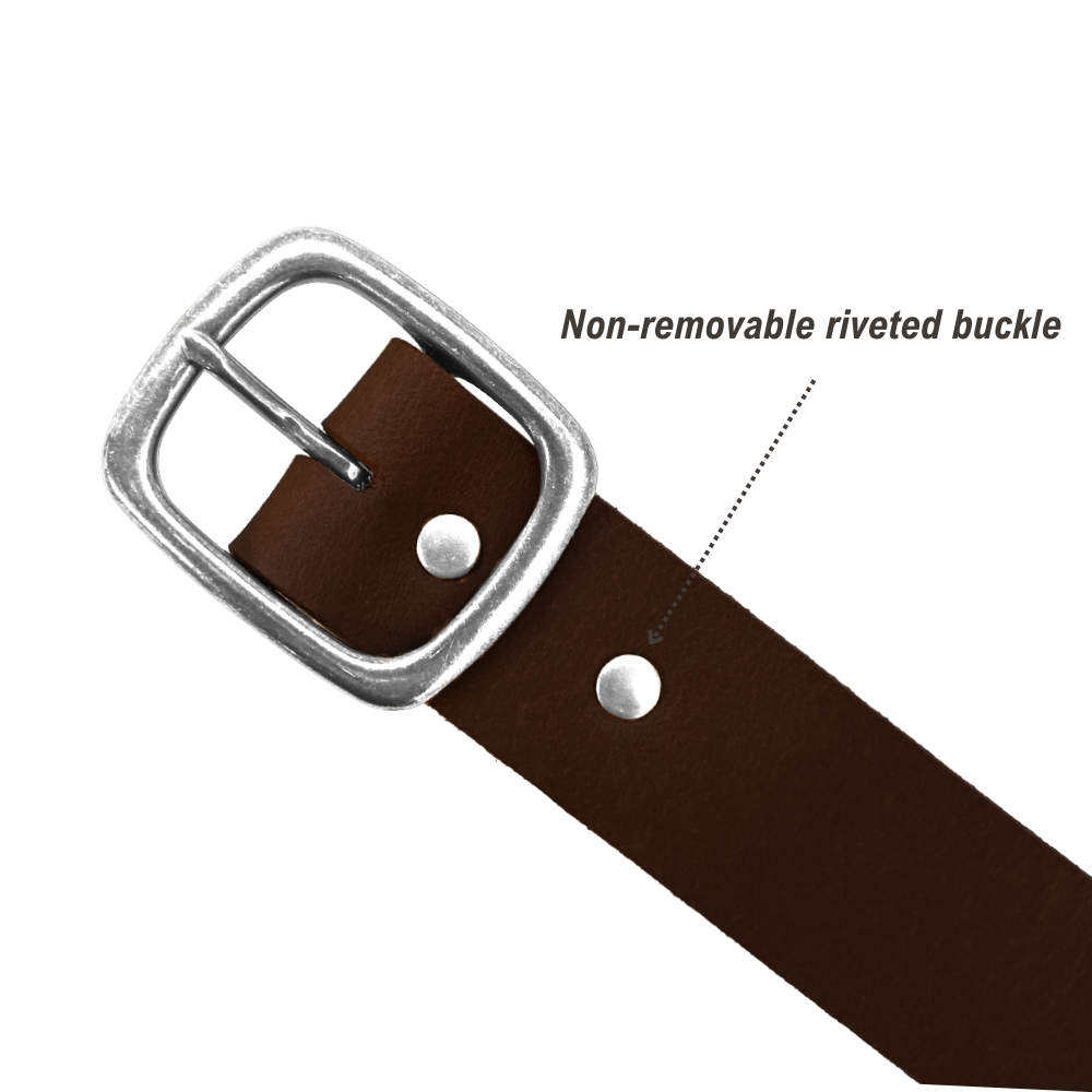 Tuckerman Belt | American Bench Craft
