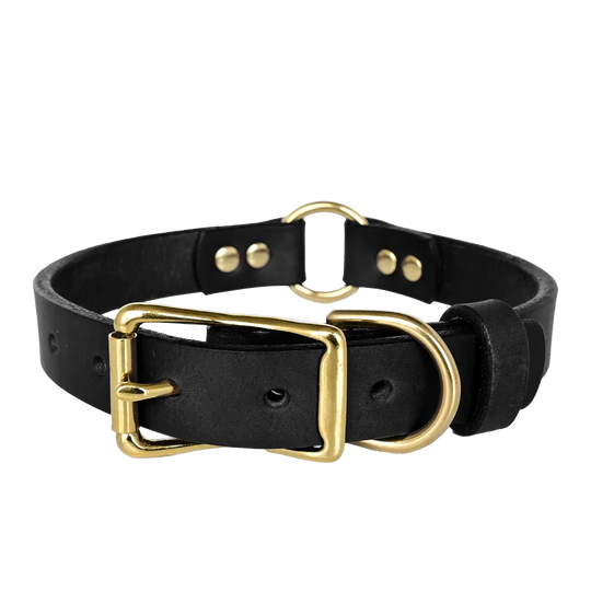 Hunting Leather Dog Collar - Black Leather - Brass Hardware