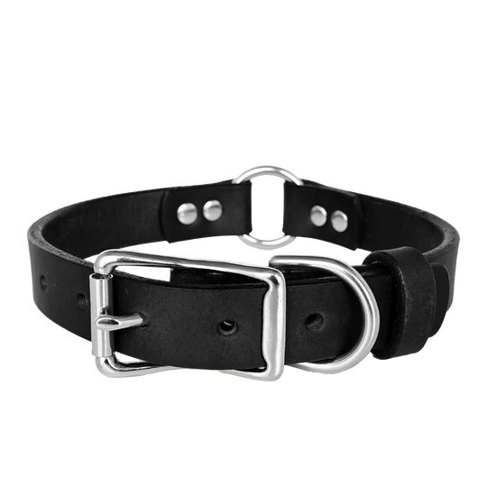 Hunting Leather Dog Collar - Black Leather - Nickel Hardware