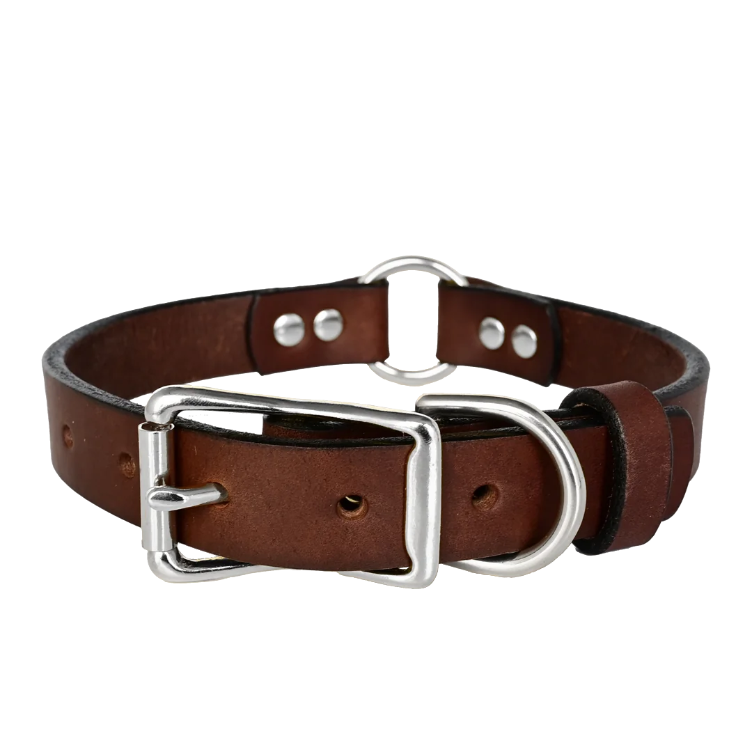 Hunting Leather Dog Collar - Brown Leather - Nickel Hardware