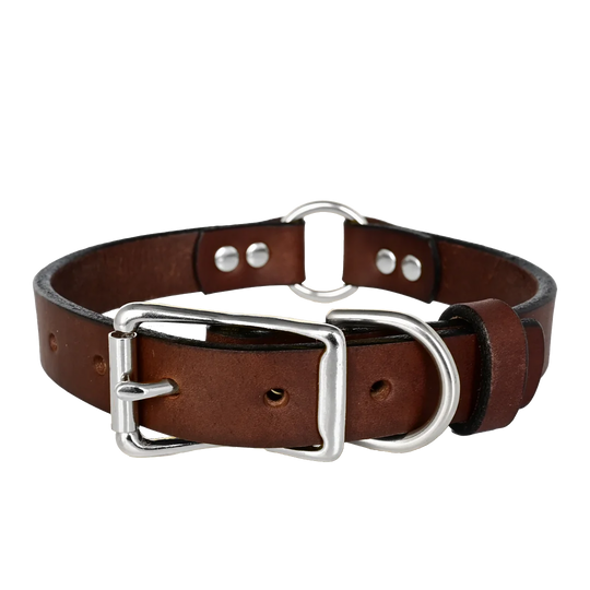 Hunting Leather Dog Collar - Brown Leather - Nickel Hardware