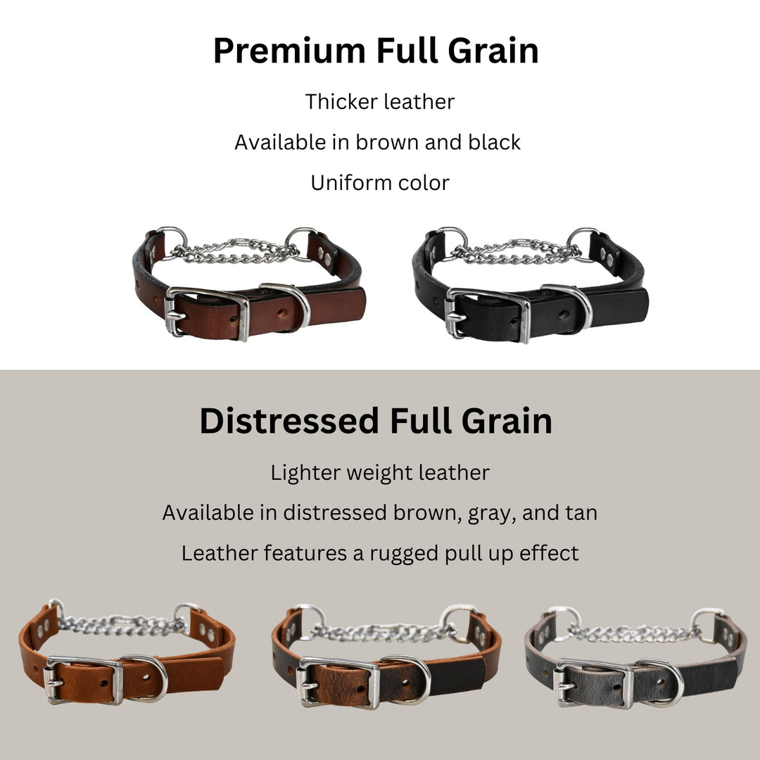 Martingale Collar Infograph