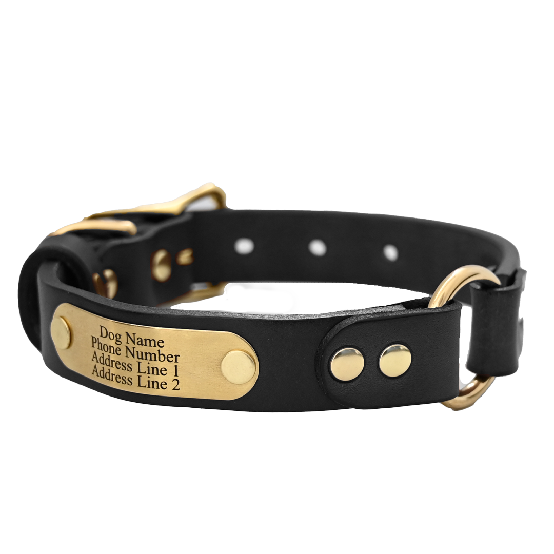 Personalized leather collar 2025