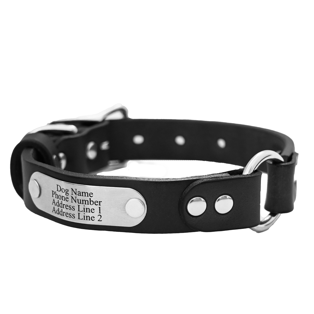 Dog hunting collars with nameplates online