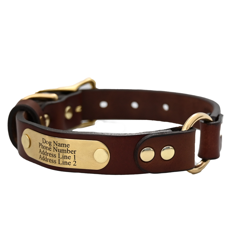 Dog collar name hot sale plate