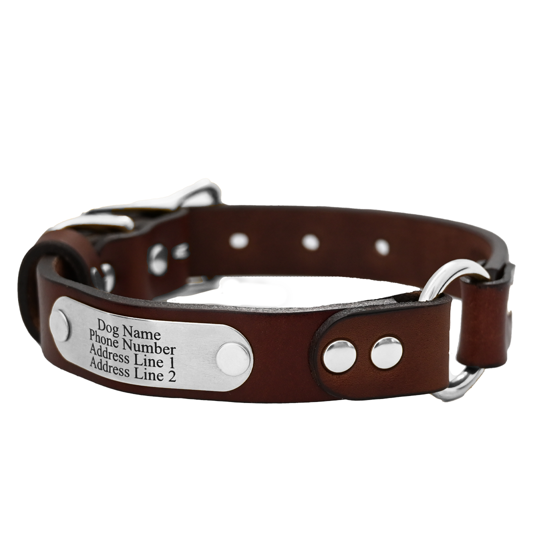 Personalized Hunting Dog Collar American Bench Craft
