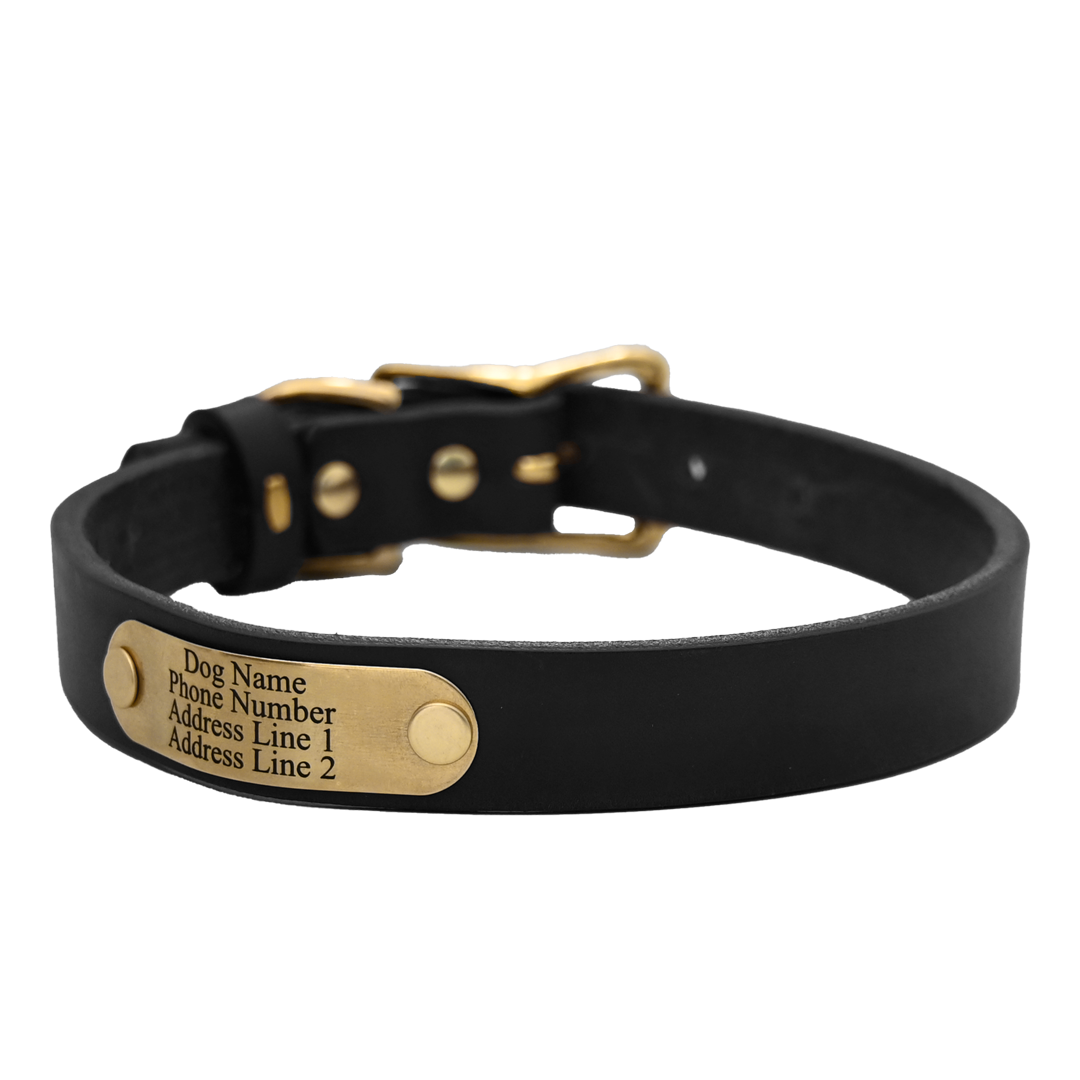 Personalized Standard Dog Collar - Black Leather - Brass Nameplate