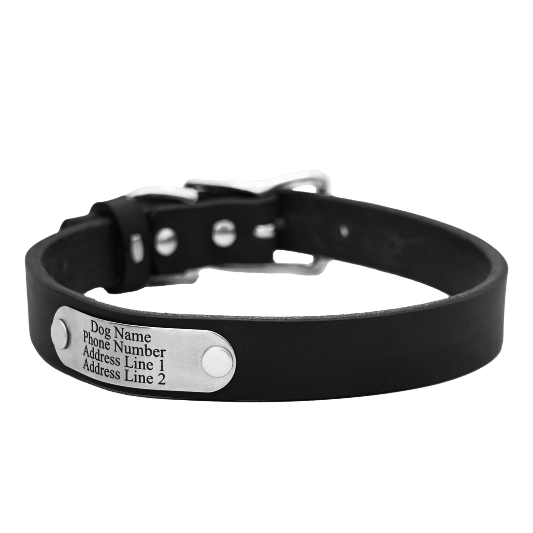 Personalized Standard Dog Collar - Black Leather - Stainless Steel Nameplate