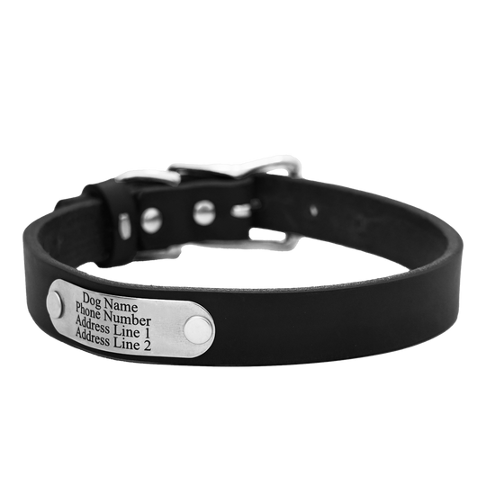 Personalized Standard Dog Collar - Black Leather - Stainless Steel Nameplate
