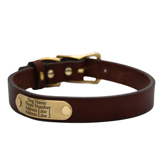 Personalized Standard Dog Collar - Brown Leather - Brass Nameplate