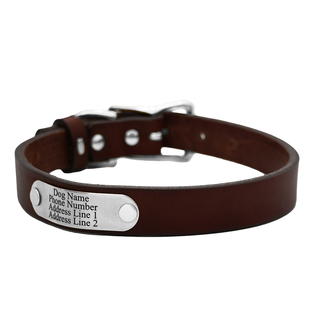 Personalized Standard Dog Collar - Brown Leather - Stainless Steel  Nameplate