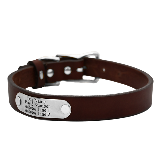 Personalized Standard Dog Collar - Brown Leather - Stainless Steel  Nameplate