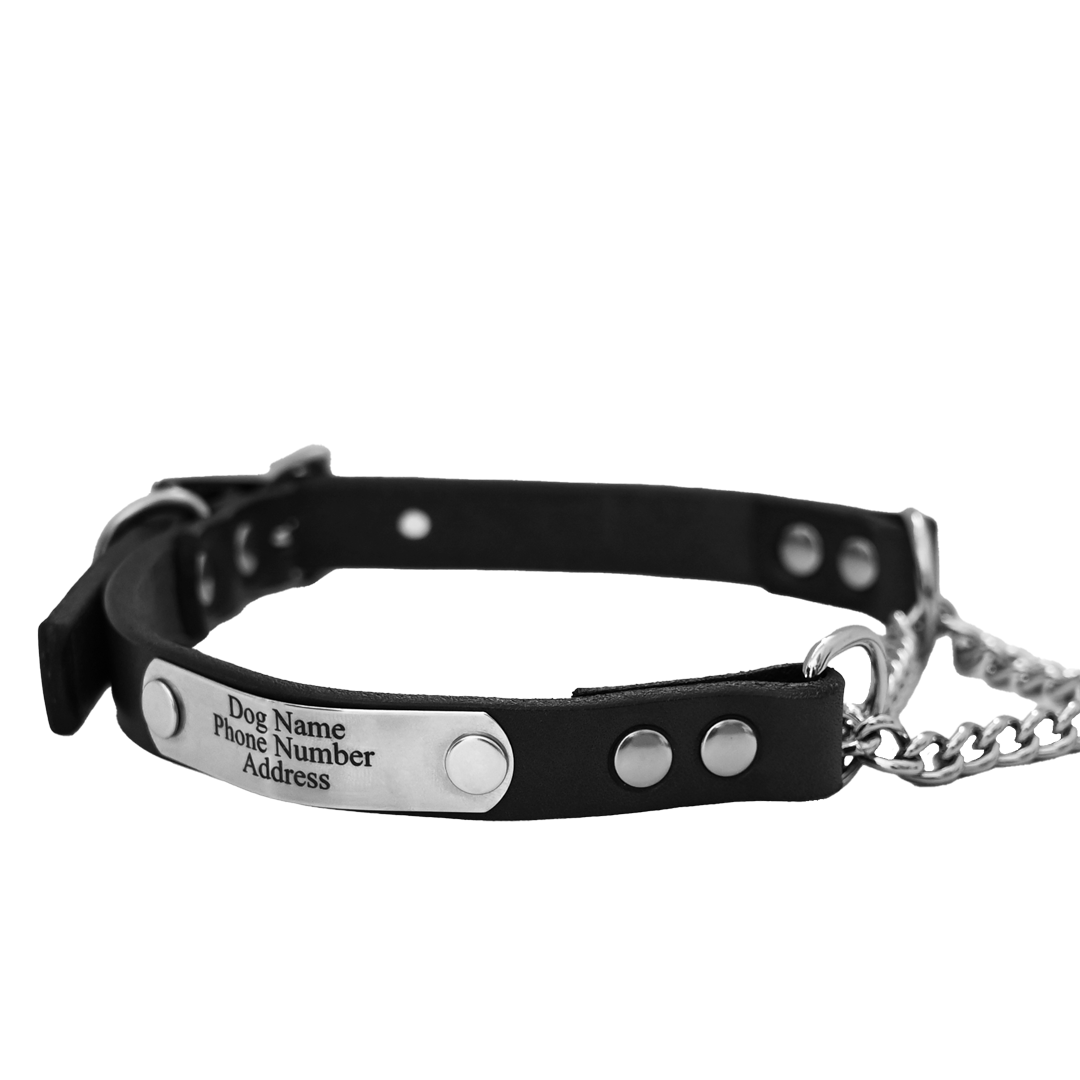 Personalized martingale dog collar - black leather