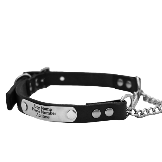 Personalized martingale dog collar - black leather