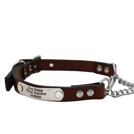 Personalized Martingale Dog Collar - Brown Leather