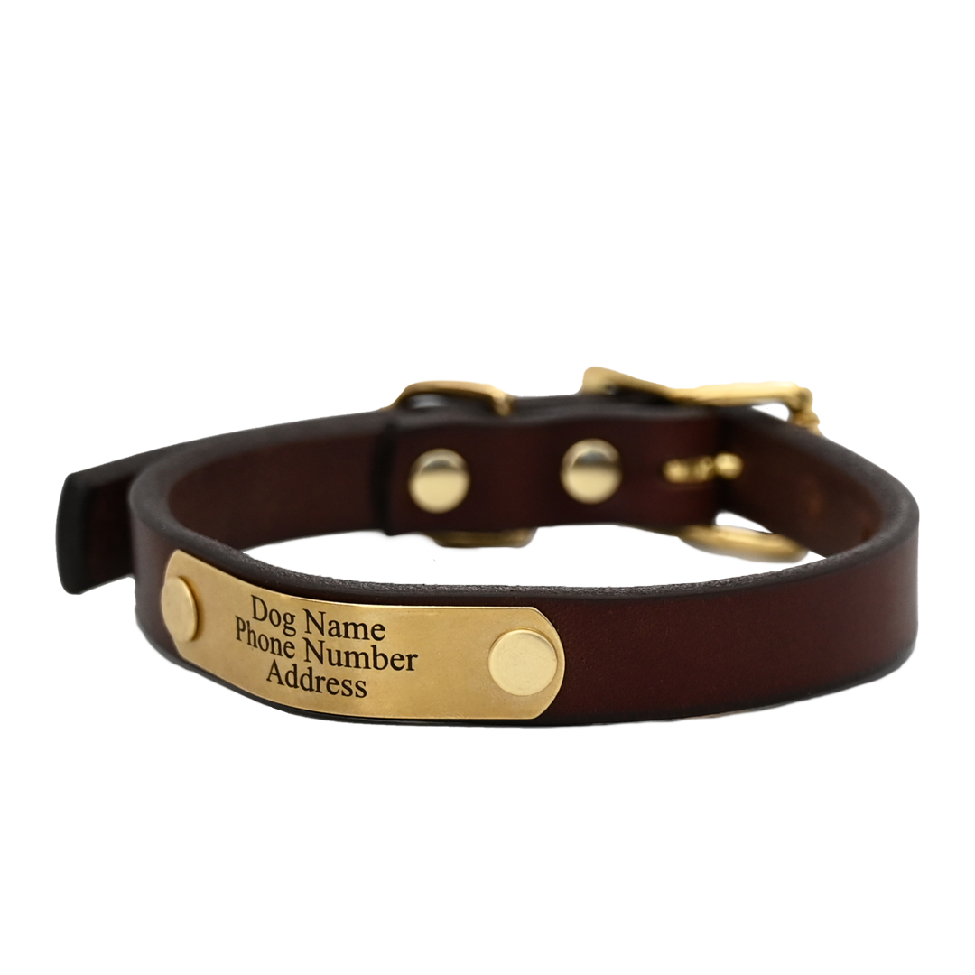 Personalized Small Dog Collar - Brown Leather  - Brass Nameplate