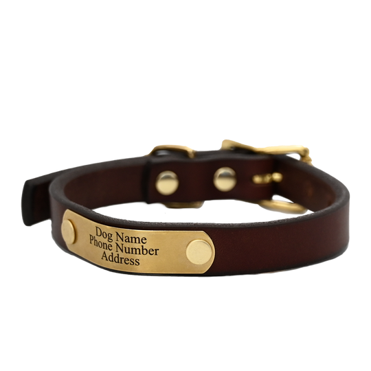 Personalized Small Dog Collar - Brown Leather  - Brass Nameplate
