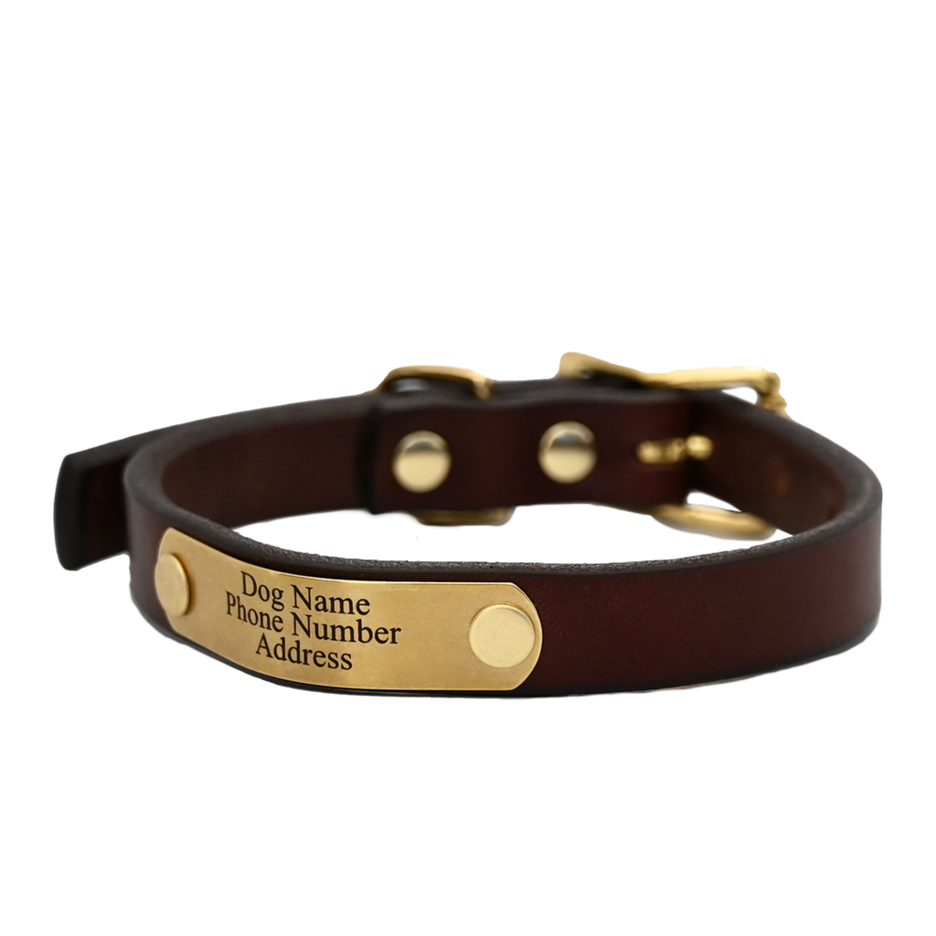 Personalized small dog collars outlet