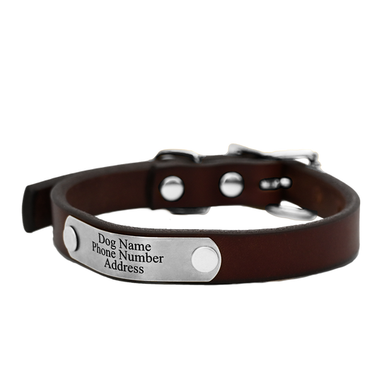 Personalized Small Dog Collar - Brown Leather  - Stainless Steel Nameplate