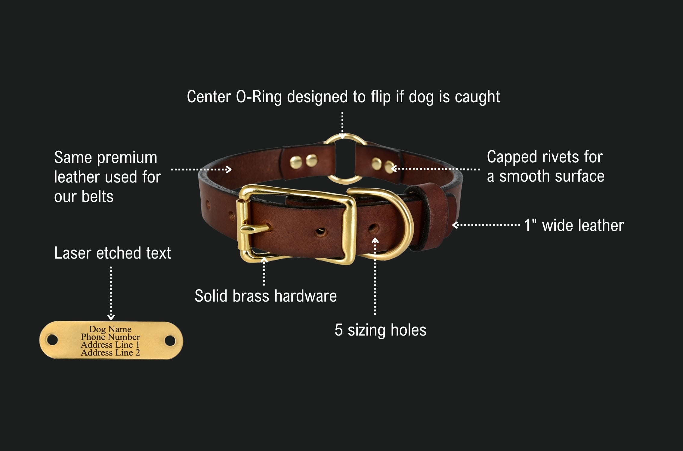 Hunting Dog Solid Name Collar 3/4 Strap Ring in Center & Brass Tag ID Plate