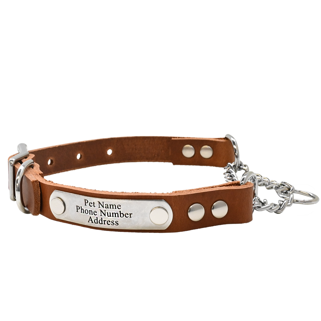 Personalized Martingale Collar - Distressed Tan
