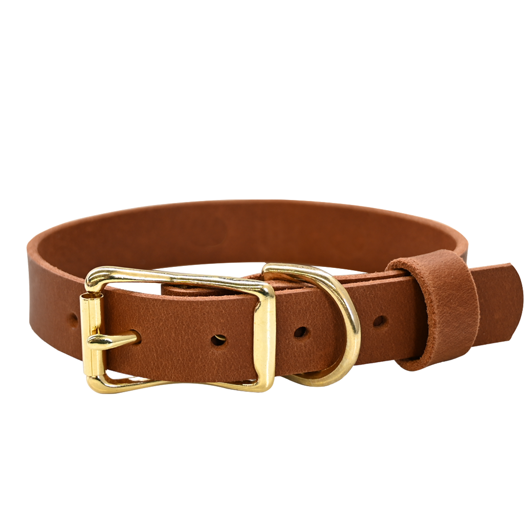 Standard Dog Collar - Distressed Tan - Brass 