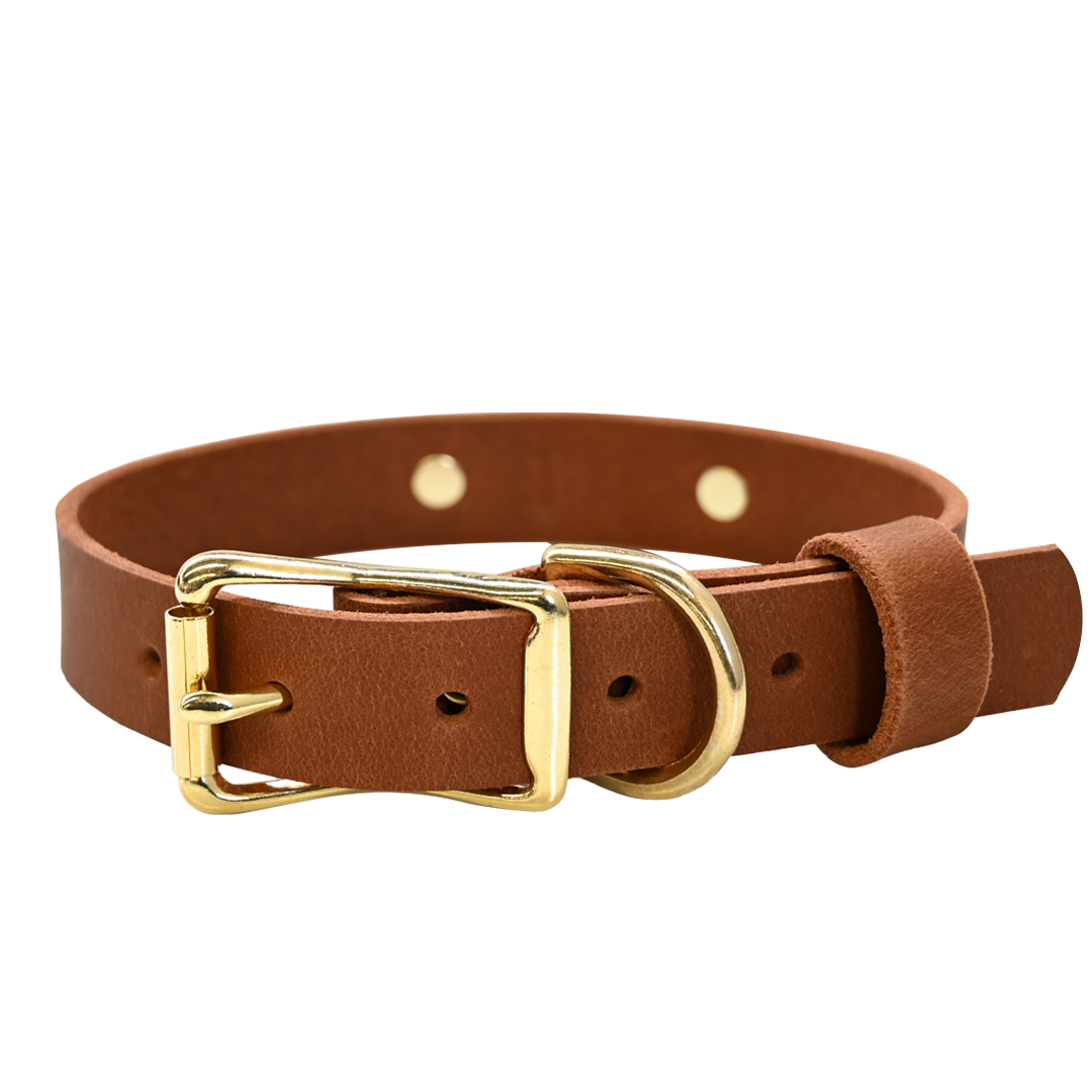 Distressed Tan Collar - Brass Hardware