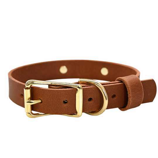 Distressed Tan Collar - Brass Hardware
