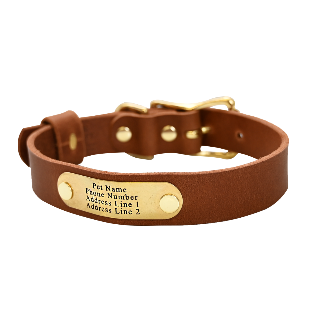 Distressed Tan Collar - Brass Nameplate
